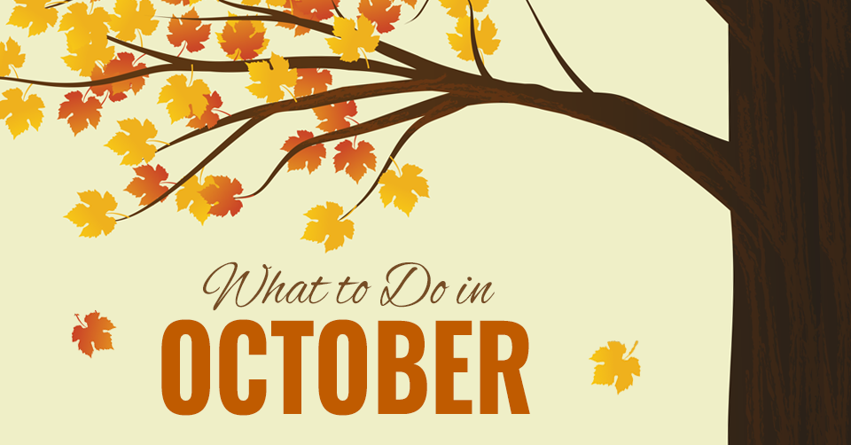 what to do in fort wayne in october