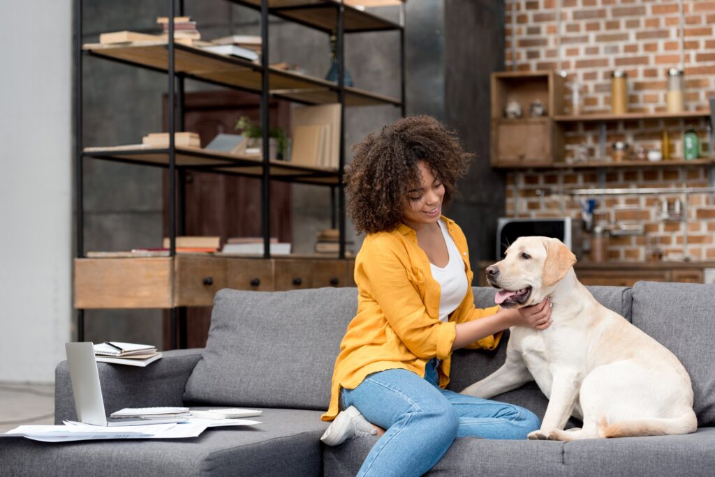 dogs in apartments