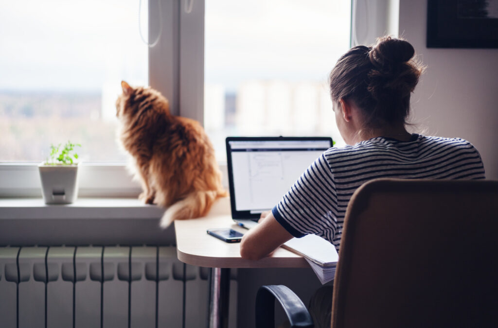 how to work from home successfully